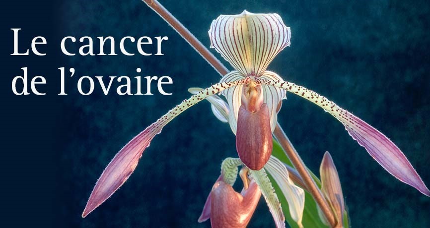 Cancers du larynx