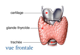 Cancer de la thyroïde