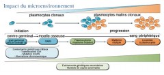 Myélome Multiple