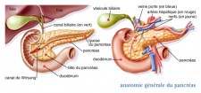 Cancer du pancréas