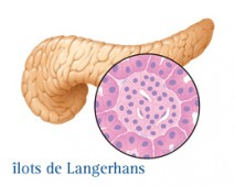 Cancer du pancréas