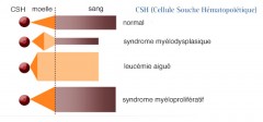 syndromes myéloprolifératifs