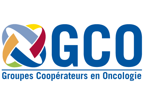 Rapport d'activité des GCO
